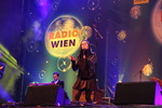 Wiener Silvesterpfad 2013/2014 11894200