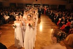 Ball Imperial der Stadt Baden 2014 11917681