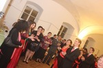 Rot-Kreuz Ball 2014 11928500