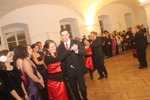 Rot-Kreuz Ball 2014 11928511