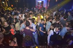 Study hard, Party harder 11933619