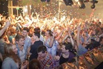 Study hard, Party harder 11933691