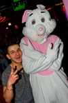 Bunny Night 11991261