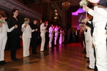 17. Wiener Regenbogenball 2014 11994459