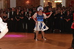 17. Wiener Regenbogenball 2014 11994495