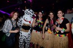 Star Night Club Carneval 12009288
