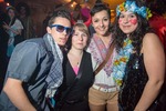 Rosenmontagsball 2014 12017526