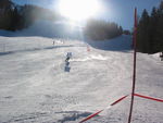 Riesling Slalom 06 1207293