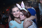 Bunny Party 12098077