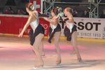 EISHOCKEY CHARITY - Wiener Eistraum 2006 1211398