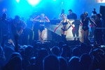 31. Donauinselfest 2014 12218298