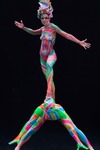 World Bodypainting Festival 2014  12230493