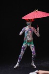 World Bodypainting Festival 2014  12231188