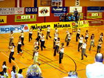 Volleyballspektakel 2006 1227805