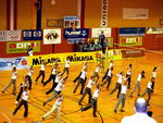 Volleyballspektakel 2006 1227806