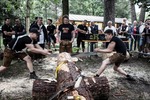 Strongest Ironteam Südtirol 12288993