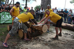 Strongest Ironteam Südtirol 12288999