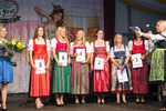 Welser Volksfest - Probebeleuchtung 12308658