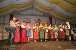 Welser Volksfest - Probebeleuchtung 12308666