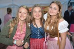 Schiedlberger Oktoberfest 12337252