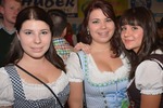 Schiedlberger Oktoberfest 12337504