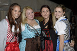 Schiedlberger Oktoberfest 12339127