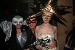 Venezianischer Maskenball 1234965