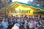 Wiener Wiesn Fest 2014 12383374