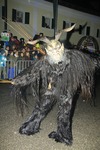 Salzkammergut-Krampuslauf 12476733