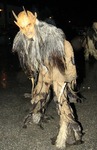 Salzkammergut-Krampuslauf 12476815