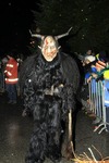 Salzkammergut-Krampuslauf 12476823