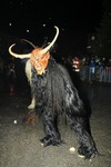 Salzkammergut-Krampuslauf 12476841