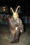 Salzkammergut-Krampuslauf 12476845