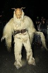 Salzkammergut-Krampuslauf 12476858