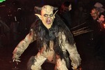 Salzkammergut-Krampuslauf 12476866