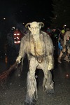 Salzkammergut-Krampuslauf 12476869