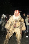 Salzkammergut-Krampuslauf 12476887