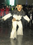 Salzkammergut-Krampuslauf 12476910