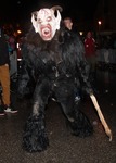 Salzkammergut-Krampuslauf 12477069