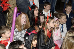 Kinderfasching 12579407