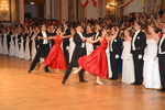 102. Rudolfina-Redoute 12595754