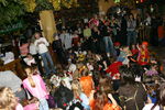 Kinderfasching 1260709