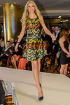 Miss Oberösterreich Wahl 2015 12691291