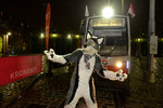 KRONEHIT Tram Party 12697441