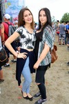 32. Donauinselfest 2015 12824727