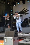 32. Donauinselfest 2015 12831602