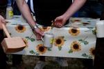 Sunflower Party 12836681