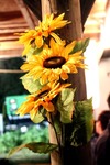 Sunflowerparty 12850831