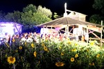 Sunflowerparty 12871009