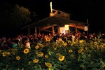 Sunflowerparty 12890347